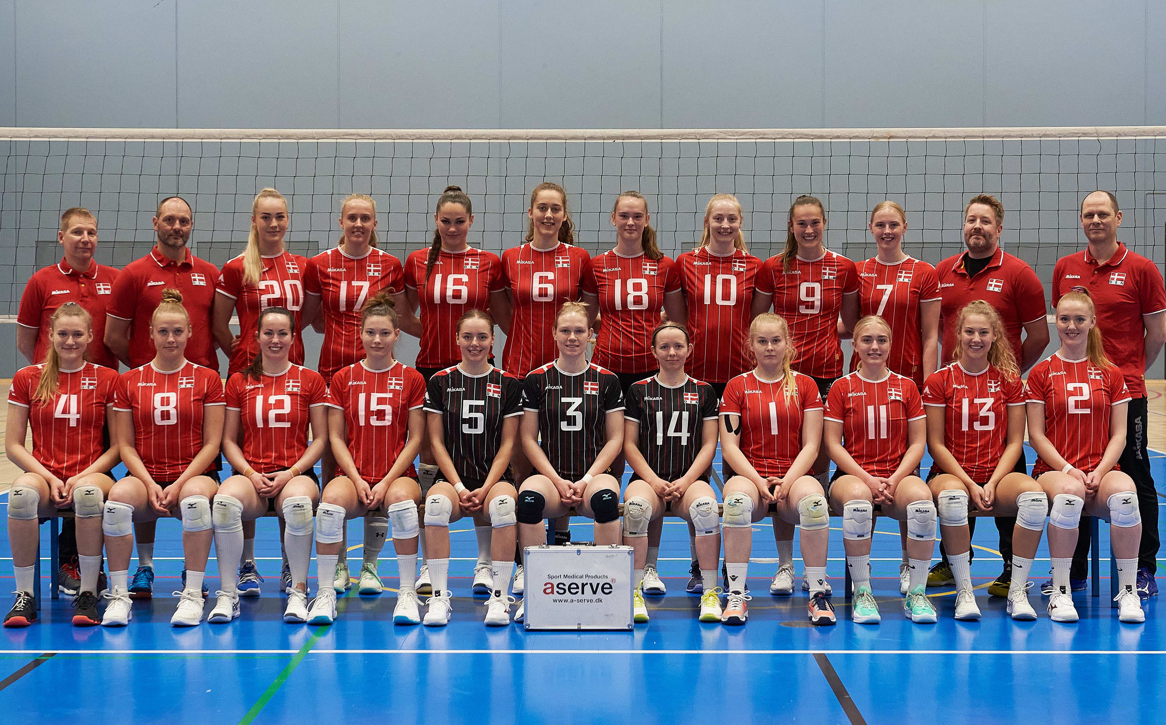 Volleyball Danmark Damelandsholdet